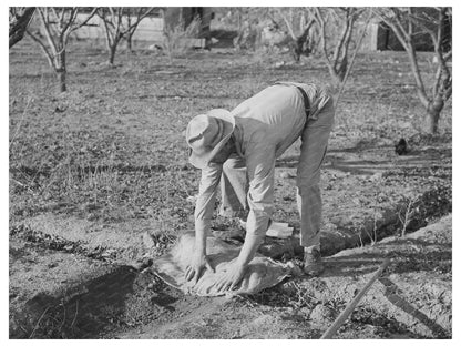 Farmer Banking Irrigation Ditches Placer County 1940