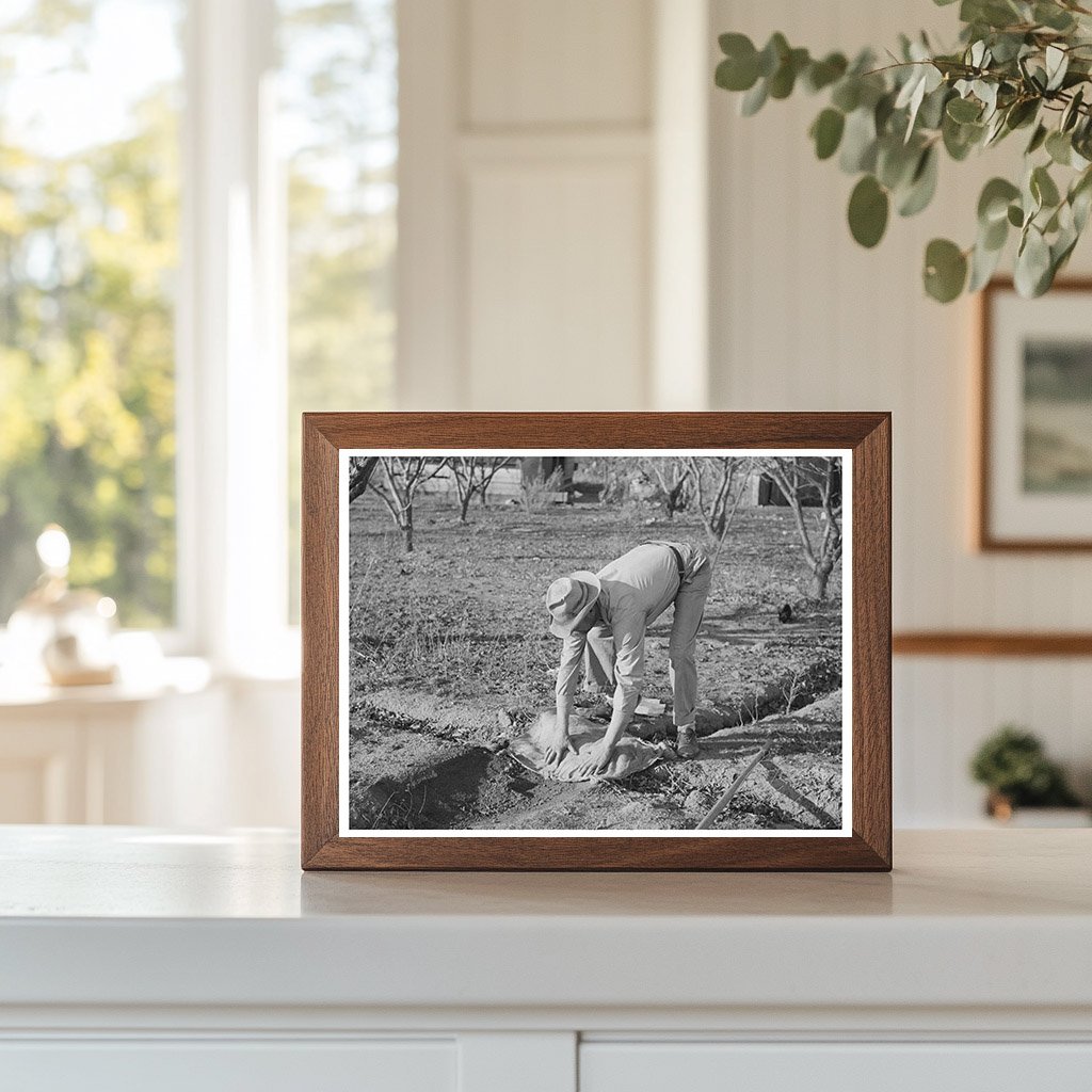 Farmer Banking Irrigation Ditches Placer County 1940