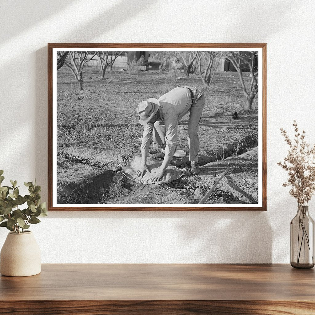 Farmer Banking Irrigation Ditches Placer County 1940