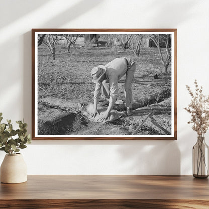 Farmer Banking Irrigation Ditches Placer County 1940