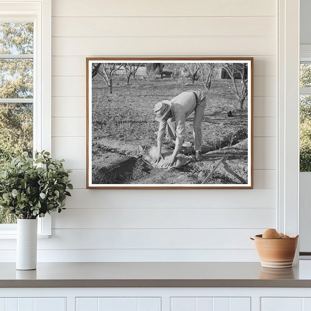 Farmer Banking Irrigation Ditches Placer County 1940