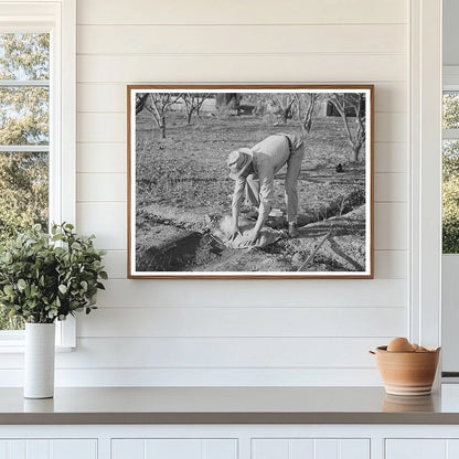 Farmer Banking Irrigation Ditches Placer County 1940