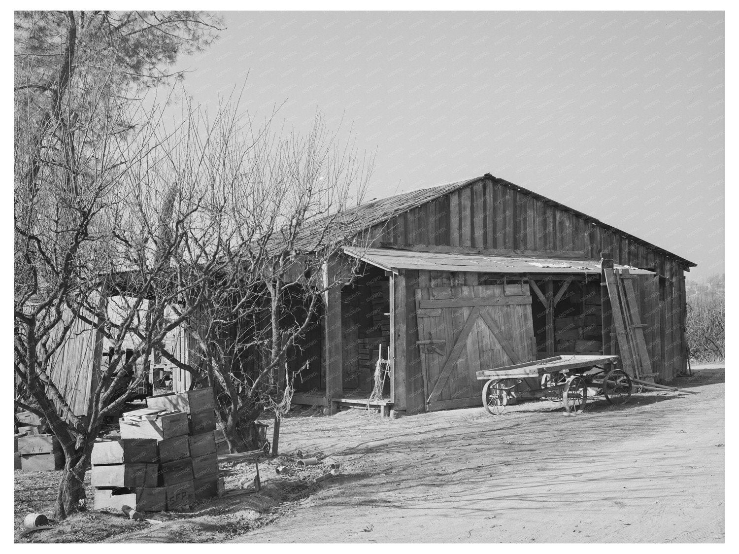 Fruit Packing Shed Placer County California December 1940