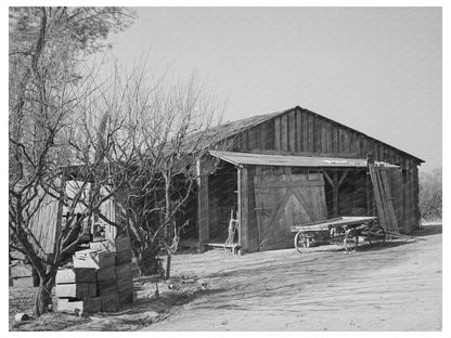 Fruit Packing Shed Placer County California December 1940