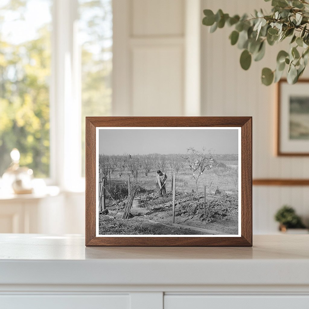 Chinese Farmers Garden and Orchard Placer County 1940