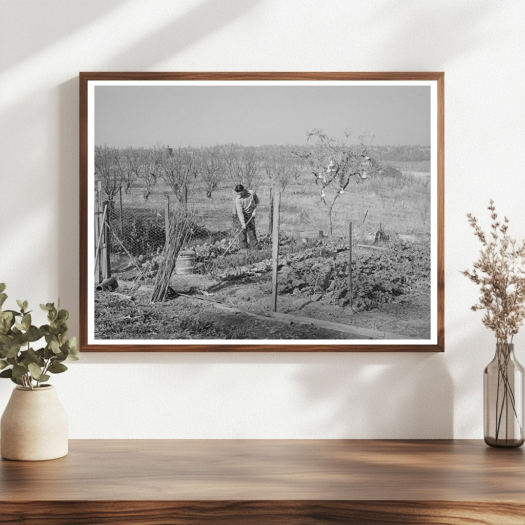 Chinese Farmers Garden and Orchard Placer County 1940