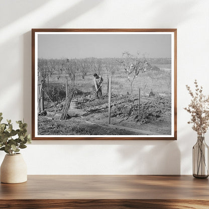 Chinese Farmers Garden and Orchard Placer County 1940