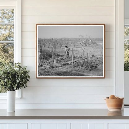 Chinese Farmers Garden and Orchard Placer County 1940