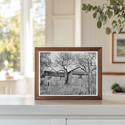 Tenants House on Fruit Farm Placer County California 1940