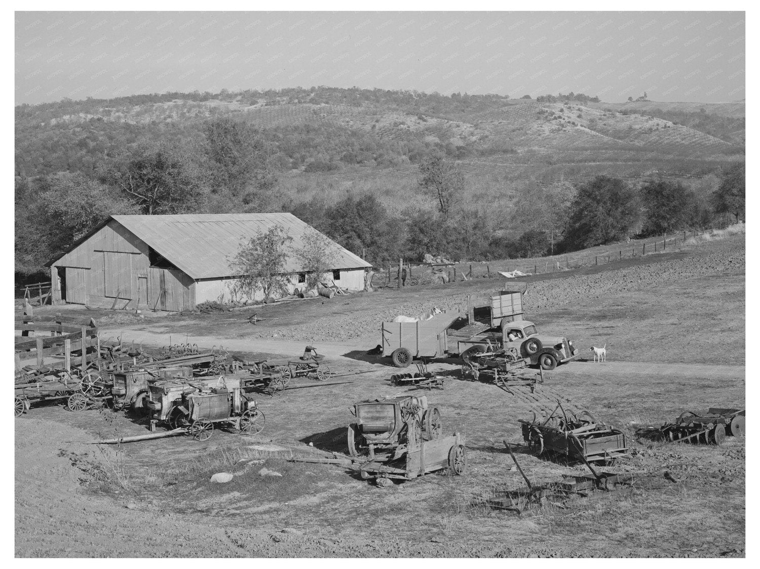 Fruit Farmer Equipment in Placer County California 1940