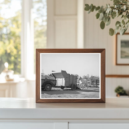 Vintage Farm Scene Placer County California December 1940