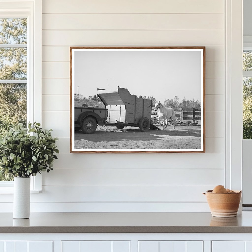 Vintage Farm Scene Placer County California December 1940