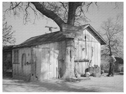 Chinese Farmers Barn in Placer County California 1940