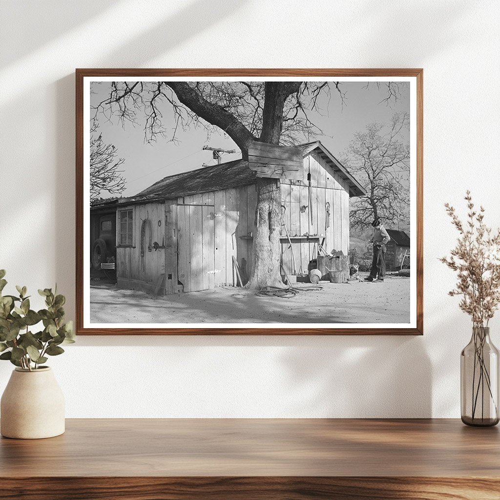 Chinese Farmers Barn in Placer County California 1940
