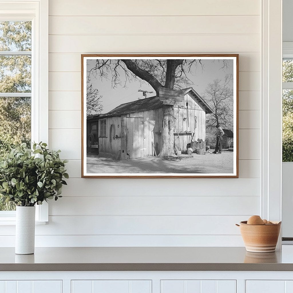 Chinese Farmers Barn in Placer County California 1940