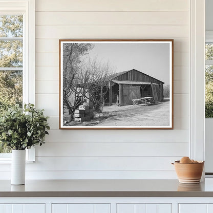 1940 Vintage Image of Neglected Fruit Farm in Placer County