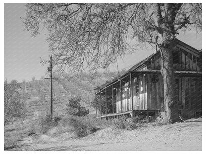 1940 Farmhouse in Auburn California with Orchards
