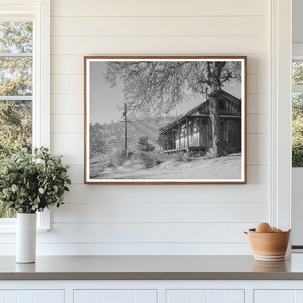 1940 Farmhouse in Auburn California with Orchards