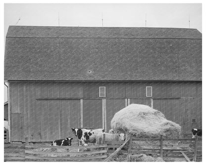 Hancock County Ohio Barnyard Scene April 1941