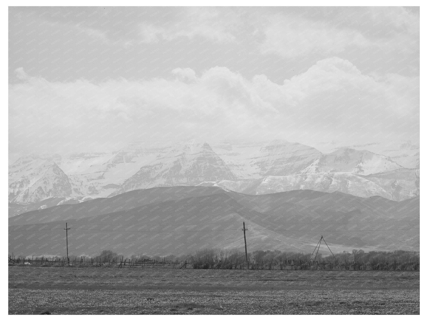 Spring Pasture in Heber Utah May 1941 with Uinta Mountains