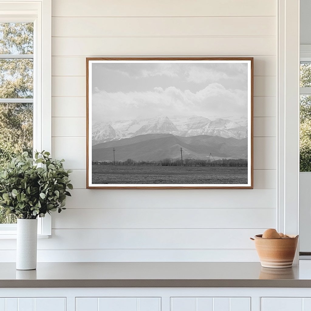 Spring Pasture in Heber Utah May 1941 with Uinta Mountains