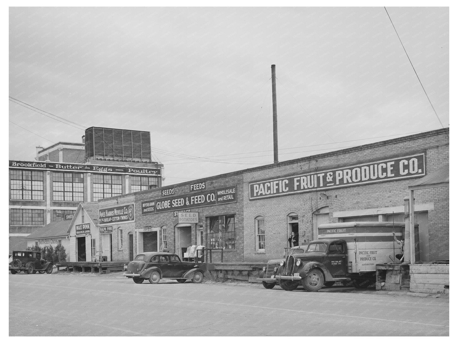 Vintage Twin Falls Idaho Agricultural Landscape May 1941