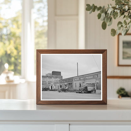 Vintage Twin Falls Idaho Agricultural Landscape May 1941