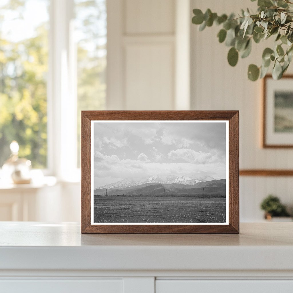 Uinta Mountains and Dandelions Heber Utah May 1941