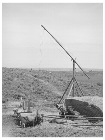 Owyhee Irrigation Project Farm Scene Nyssa Heights 1941