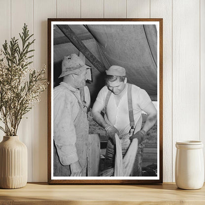 Sheep Shearers on Malheur County Ranch May 1941