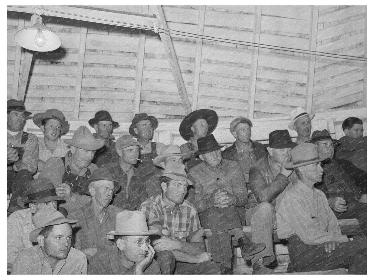 1941 Auction of Livestock in Ontario Oregon