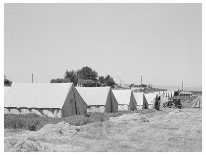 Farm Security Administration Migrant Camp Tents Wilder Idaho 1941