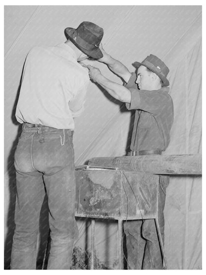 Farm Workers Assembling Tent in Idaho May 1941