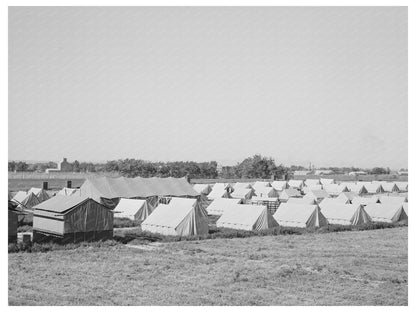 Tents at 1941 Migratory Labor Camp in Idaho