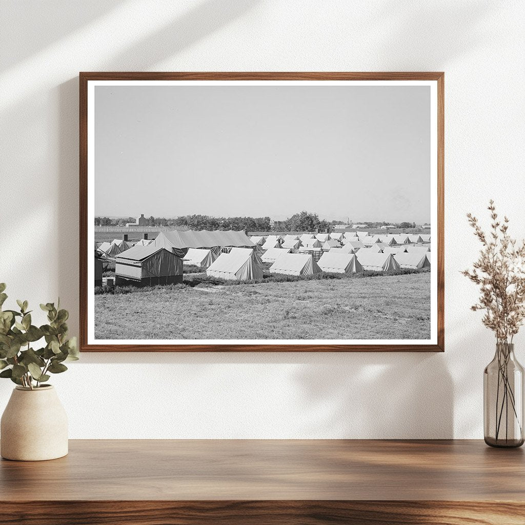 Tents at 1941 Migratory Labor Camp in Idaho