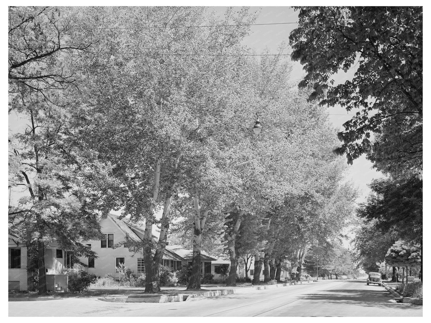 Caldwell Idaho Street Scene May 1941 FSA/OWI Collection
