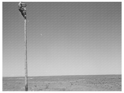Canyon County Idaho Lineman Vintage Photo May 1941