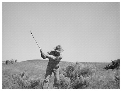 1941 Farmer Clearing Sagebrush in Malheur County Oregon