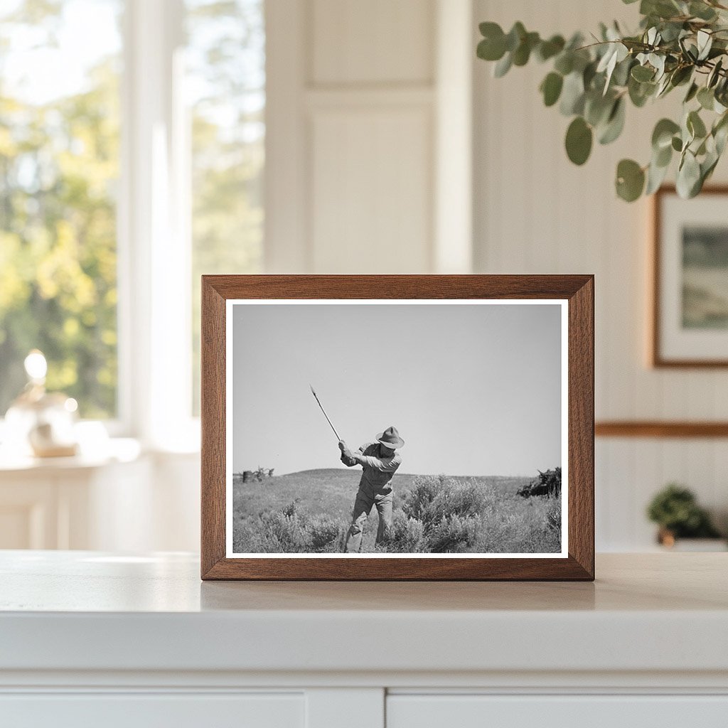 1941 Farmer Clearing Sagebrush in Malheur County Oregon