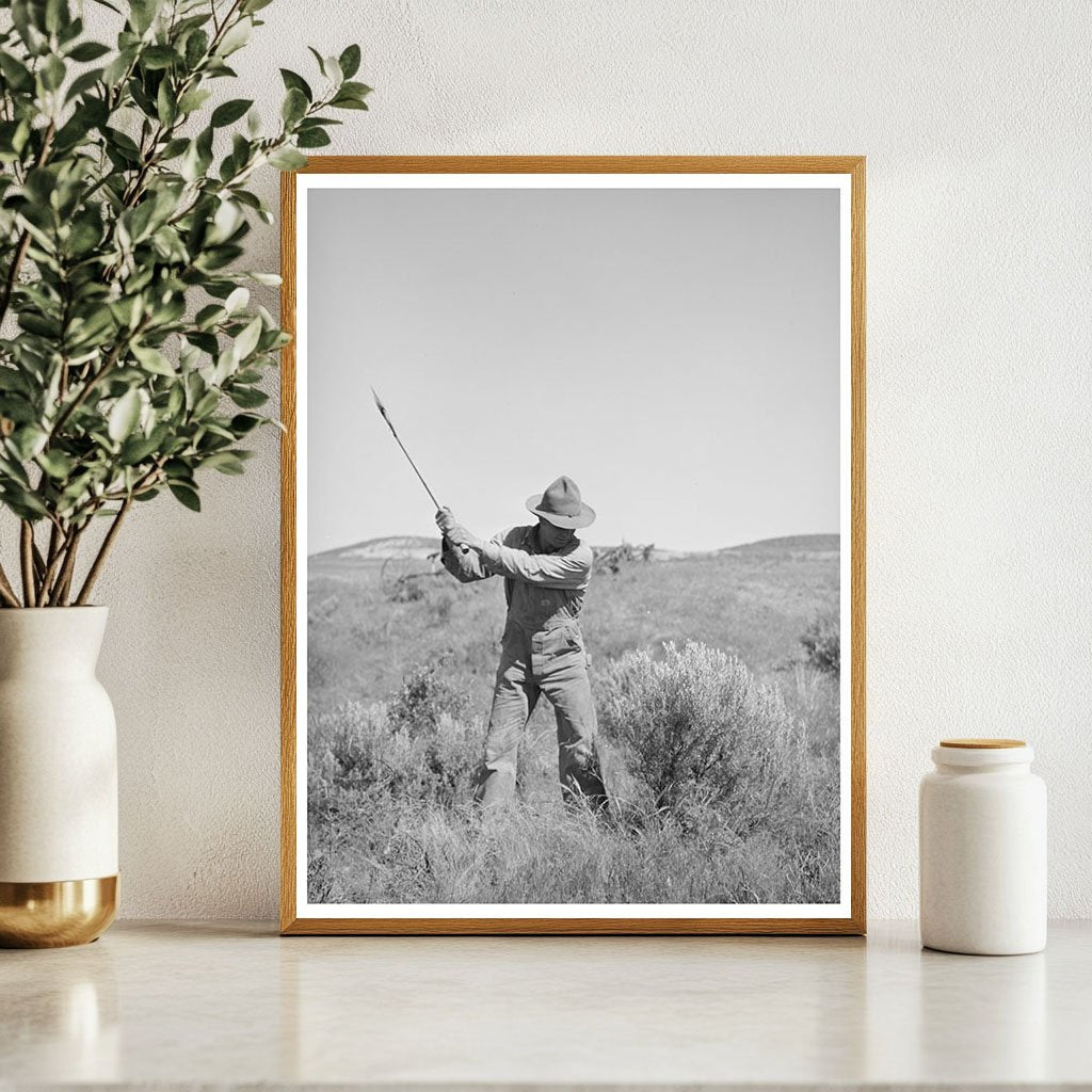 Farmer Clears Sagebrush for Irrigation Project in 1941