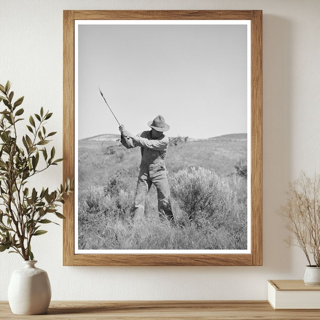 Farmer Clears Sagebrush for Irrigation Project in 1941