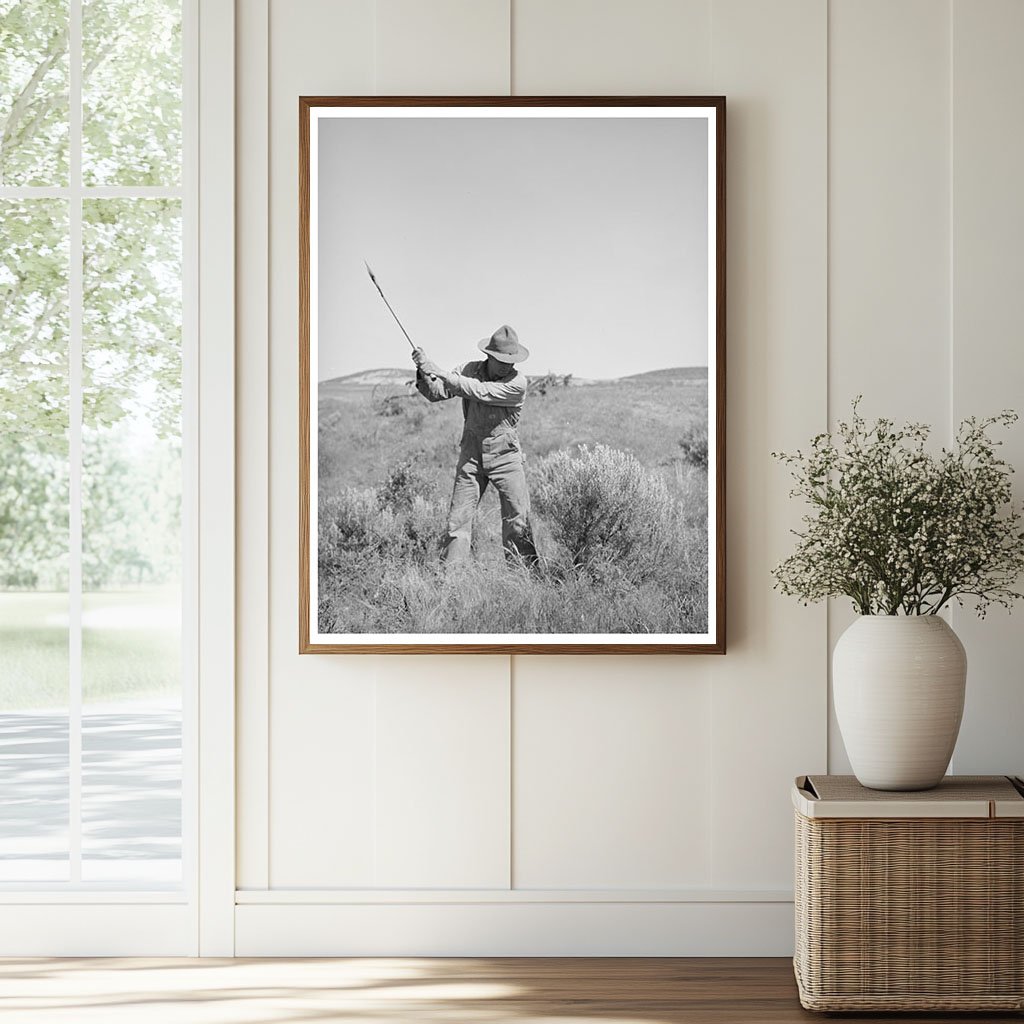 Farmer Clears Sagebrush for Irrigation Project in 1941