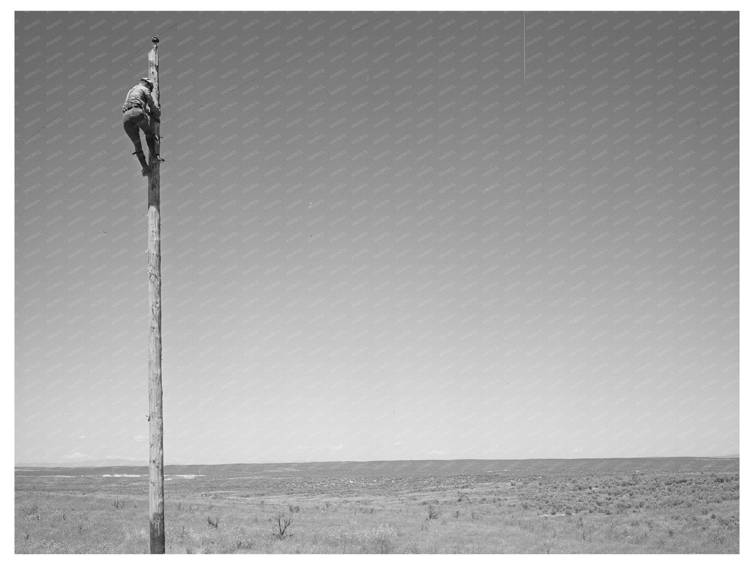 Electrical Lineman at Work Canyon County Idaho 1941