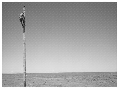 Electrical Lineman at Work Canyon County Idaho 1941