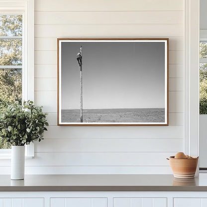 Electrical Lineman at Work Canyon County Idaho 1941