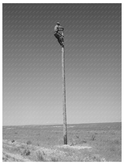 Lineman Working on Utility Lines Canyon County Idaho 1941