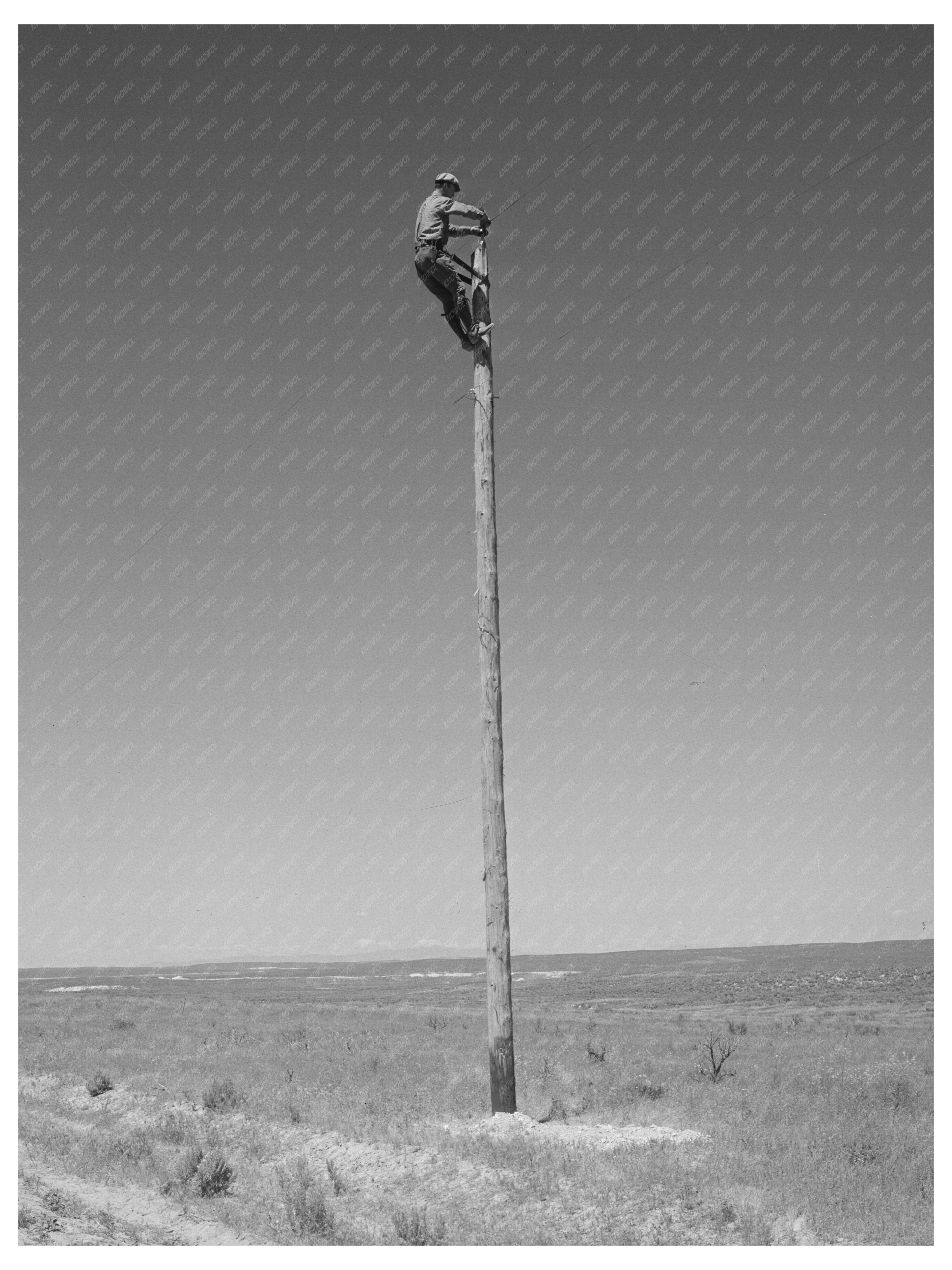 Lineman Working on Utility Lines Canyon County Idaho 1941