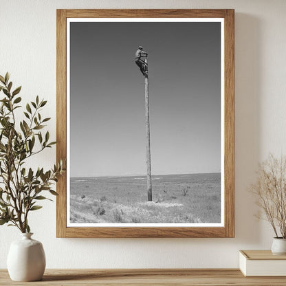 Lineman Working on Utility Lines Canyon County Idaho 1941