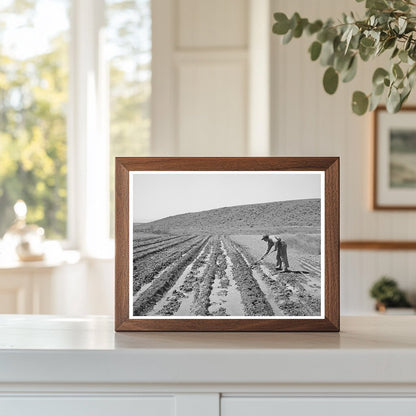 1941 Farmer in Vale-Owyhee Irrigation Project Oregon