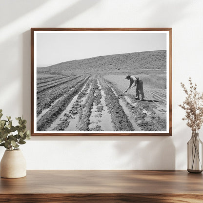 1941 Farmer in Vale-Owyhee Irrigation Project Oregon